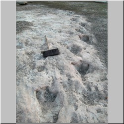 102_6590 (2013-08-10)m.JPG